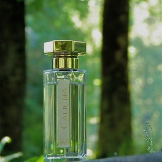 Caligna - L'Artisan Parfumeur