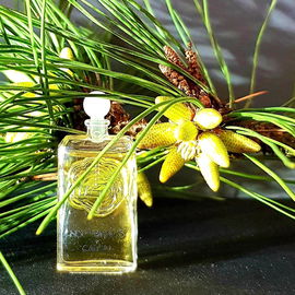 Nocturnes (1981) (Parfum) - Caron