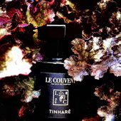 Eroberung und Hingabe - Vielen Dank an euch Fotobesucher und Kommentatoren 🤗 (von Krapnek)