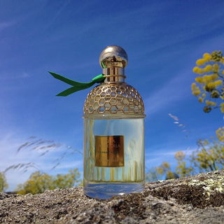 Aqua Allegoria Herba Fresca - Guerlain