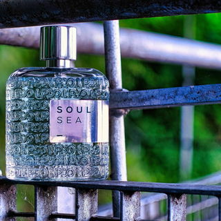 Soul Sea - LPDO