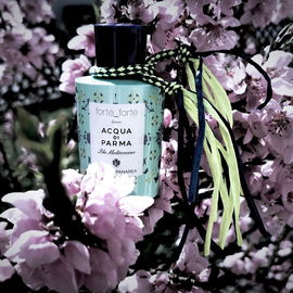 forte_forte loves Acqua di Parma: Blu Mediterraneo - Mirto di Panarea - Acqua di Parma