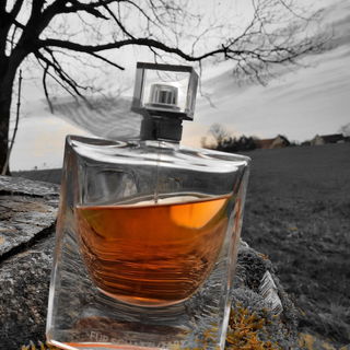 La Vie est Belle L'Eau de Parfum