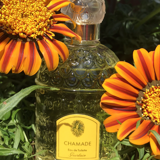 Chamade (Eau de Toilette) von Guerlain