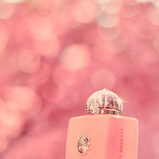 Blossom Love für Alle! In der Bonner Altstadt ist die Kirschblüte in vollem Gange... Was man hier nicht so gut sieht: Amouage hat wirklich exakt den Kirschblütenton getroffen.  ❤ DANKE für Euer tolles Feedback!!