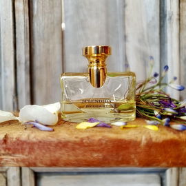 Splendida - Iris d'Or - Bvlgari