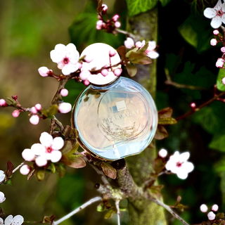 Far Away (Eau de Parfum)