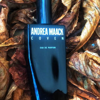 Coven von Andrea Maack