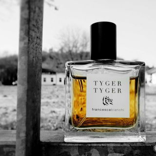 Schon mal mit der Nase_Auge um Auge _ Zahn um Zahn_durch Bernstein geguckt?