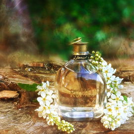 Rumeur (2007) (Eau de Parfum) - Lanvin