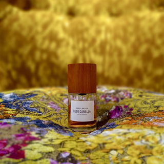 Beso Canalla von Beso Beach