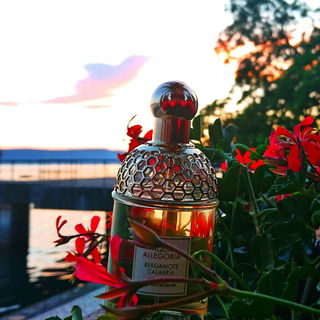 Auch an lauen Sommerabenden ein perfekter Begleiter 🧡 Dankeschön Euch allen 🥰