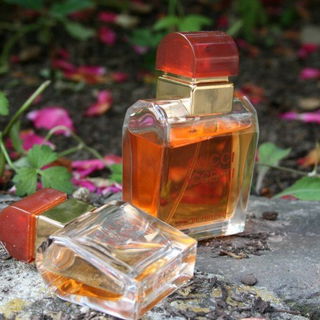 Accenti (Eau de Toilette)