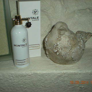 Cashmer Wood - Unknown Brand / Unbekannte Marke