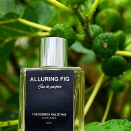 Alluring Fig - Theodoros Kalotinis