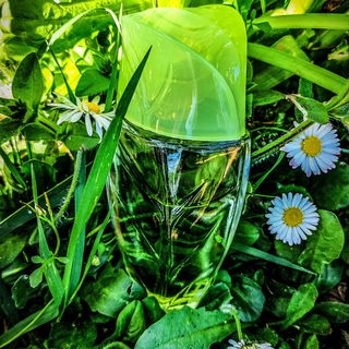 Nature (Eau de Toilette) von Yves Rocher