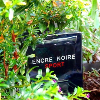 Encre Noire Sport by Lalique