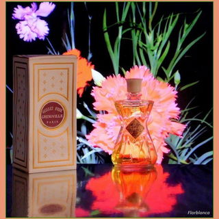 Œillet Fané (Extrait) - Grenoville