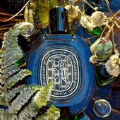 Vielen Dank für's Vorbeischauen und Eure lieben Fotokommentare ❄️🌿❄️ (von Bille74)