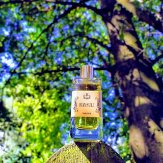 Raysuli - Cerchi Nell'Acqua