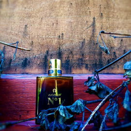 Aigner N°1 Oud - Aigner