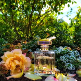 Ta'if (Eau de Parfum) - Ormonde Jayne