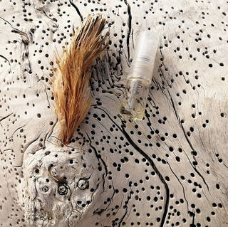 Lost on the Ionian Sea shore...