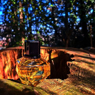 Etienne Aigner pour Femme