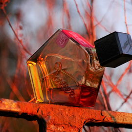 № 10 - Une Rose Vermeille - Tauer Perfumes