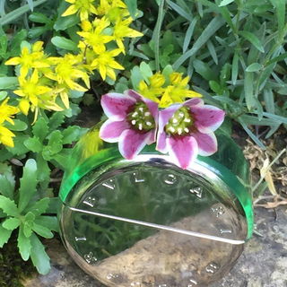 Omnia Green Jade - Bvlgari