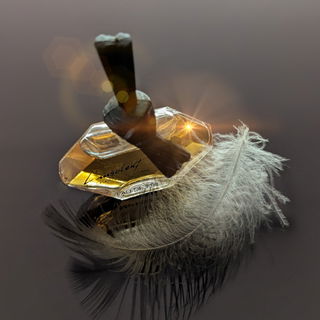 L'Insolent (Eau de Parfum) von Charles Jourdan