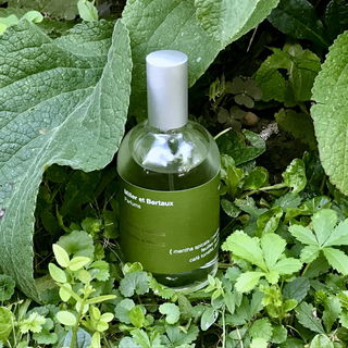 Menta y Menta - Miller et Bertaux