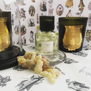 Médie by Trudon