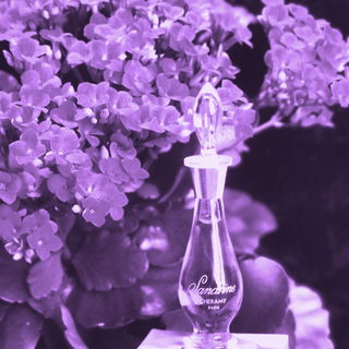 Sandrine (Parfum) - Cheramy