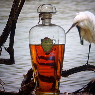 Three Flowers / Tres Flores (Cologne) von Richard Hudnut