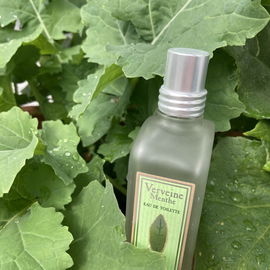 Verveine Menthe / Mint Verbena - L'Occitane en Provence