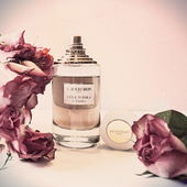 🩷 Herzlichen Dank für Eure Blicke und Worte 🩷 (by MadameLegras)