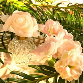 Capricci - Nina Ricci