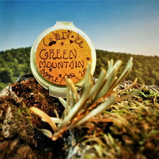 Von den grünen Bergen...