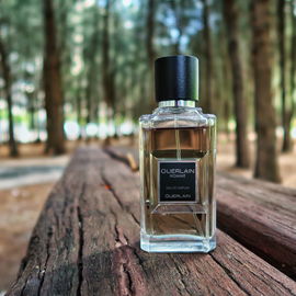 Guerlain Homme (Eau de Parfum) - Guerlain