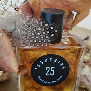 25 Indochine by Pierre Guillaume
