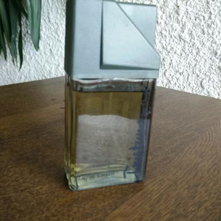 Tristano by Onofri - Tristano Onofri