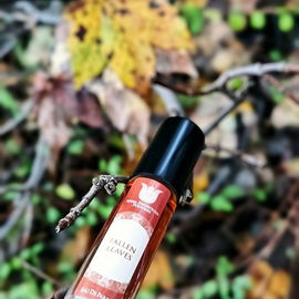Diese Momente in denen man,noch bevor das erste Blatt fällt,das Klicken der Jahreszeiten spüren kann. 🍂Die Luft ist frisch,der Sommer ist vorbei.🍁VIELEN DANK für euere tollen Kommentare. 🫶