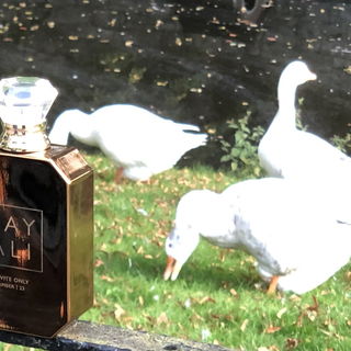 Invite Only Amber | 23 - Kayali