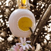 Vielen Dank für Eure lieben Fotokommentare 💖 (von Bille74)