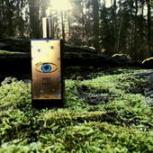 Morgens im Winterwald - haltet die Augen offen (von Rosie88)