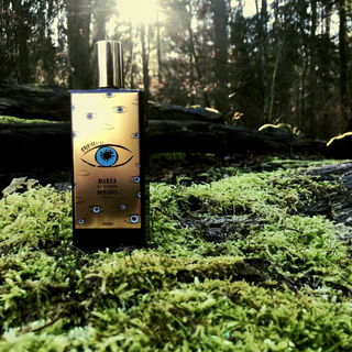 Morgens im Winterwald - haltet die Augen offen