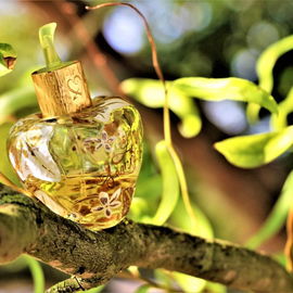 Fleur Défendue / Forbidden Flower - Lolita Lempicka