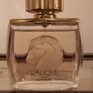 Lalique pour Homme Equus (Eau de Parfum) von Lalique