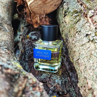 Why Not A Cologne von Mark Buxton Perfumes